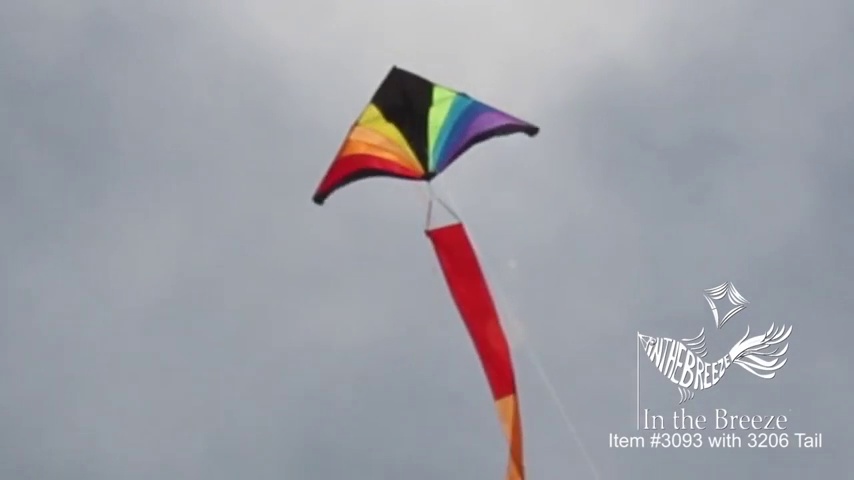 Amazon.com: In the Breeze Rainbow Black Delta Kite, 6-Feet : Toys