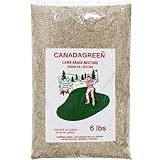 Canada Green Grass Seed - 6 Pound Bag