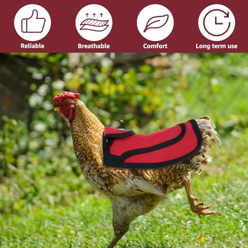 TNTGMG Hühner Sattel,3 Stück Premium Hühner Sättel mit Verstellbarem Gurt, 25×19 cm, Oxford-Stoff Outdoor Henne Sattel Pullover Kleidung, Vögel Federschutz Ausrüstung für Rücken und Seiten