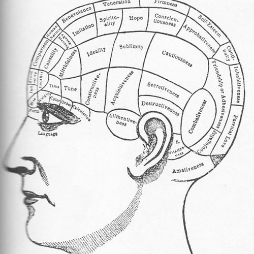 Page de couverture de Could the Supreme Court benefit from change like term limits?