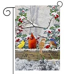 01Winter Cardinal Bird