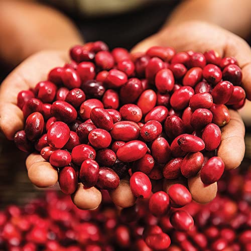 Green Mountain Coffee Roasters, Colombia Select, Ground Coffee, Fair Trade Select, Medium Roast, Bagged 10oz (Pack of 5) - image 8