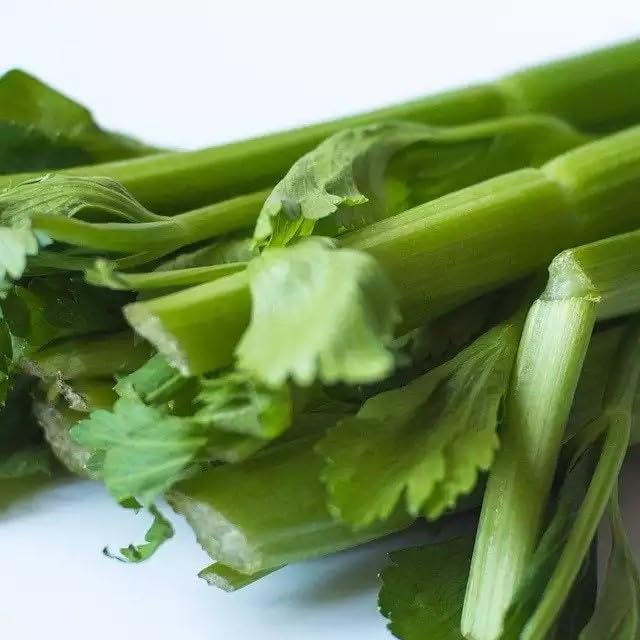 Willvine Organic Green Celery Vegetable-XIL-10T-image-14
