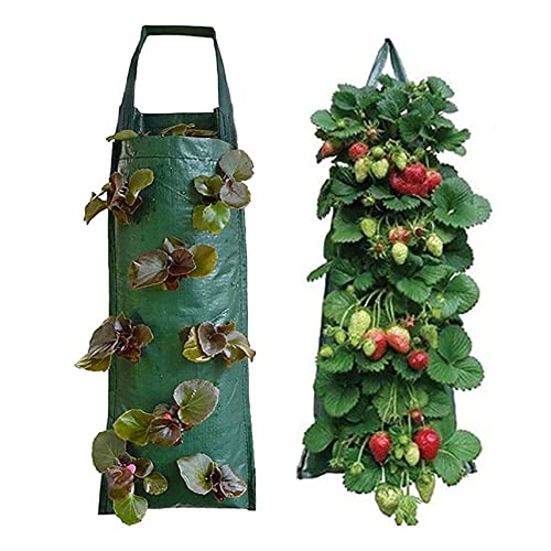 Ligeinsrk Adjustable Erdbeeranbau Beutel 2er Set