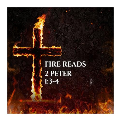 This piece of wisdom is what changed everything for me! Fire Read Morning Devotional copertina