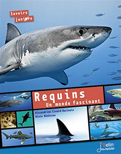 Requins: Un monde fascinant