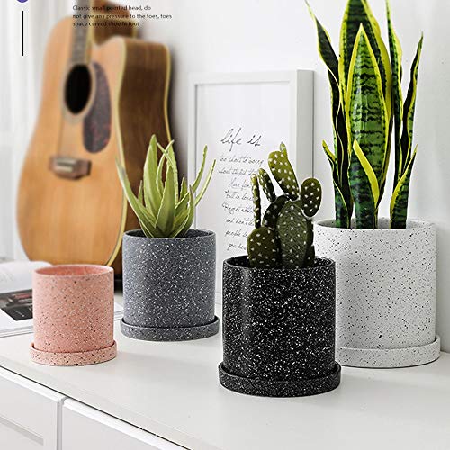 Maceta pequeña moderna para cactus que soluciona el espacio en ventanas estrechas 4