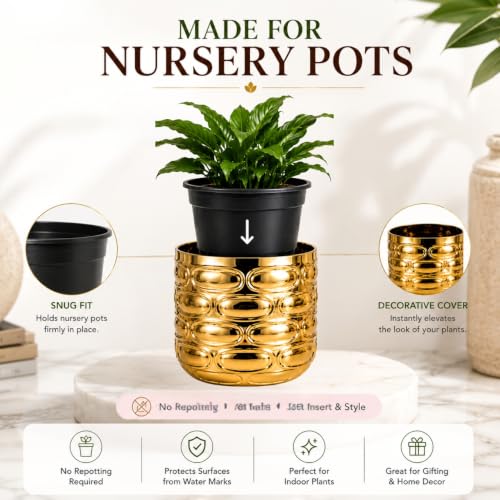 Image of ecofynd 1 Pack Metal Plant Pots (5 inch), Indoor Small Planter Flower Pots, Home Garden Decor Planter for Living Room Bedroom Interior (Gold Finish, POT056)