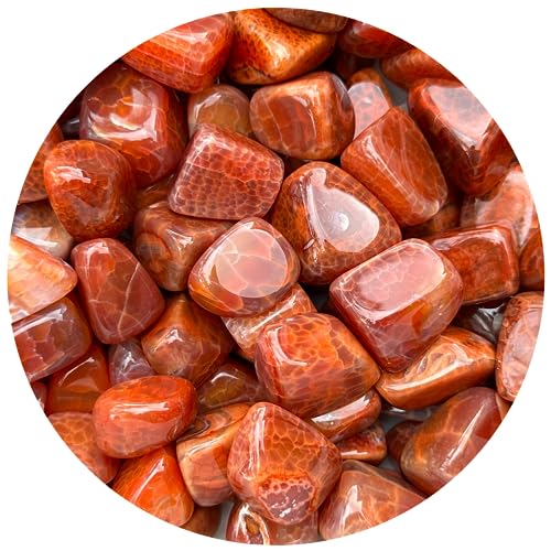 Image of GAF TREASURES 1 /2 LB Fire Agate Tumbled Stones, Polished Fire Agate Gemstone, Fire Agate Healing Crystals (Fire Agate)