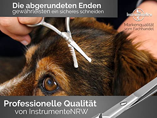 Pfotenschere Hunde Fellscheren Set Scharfe Schnittflächen 2 abgerundete Scheren 9 cm aus Edelstahl für eine perfekte Fellpflege
