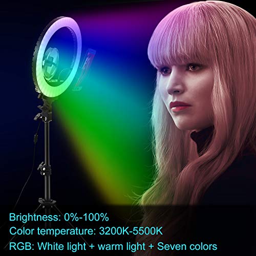 LED Ring Light 10" with Tripod Stand & Cell Phone Holder for Live Streaming & YouTube Video, Dimmable Selfie Desk Makeup Ring Light for Photography