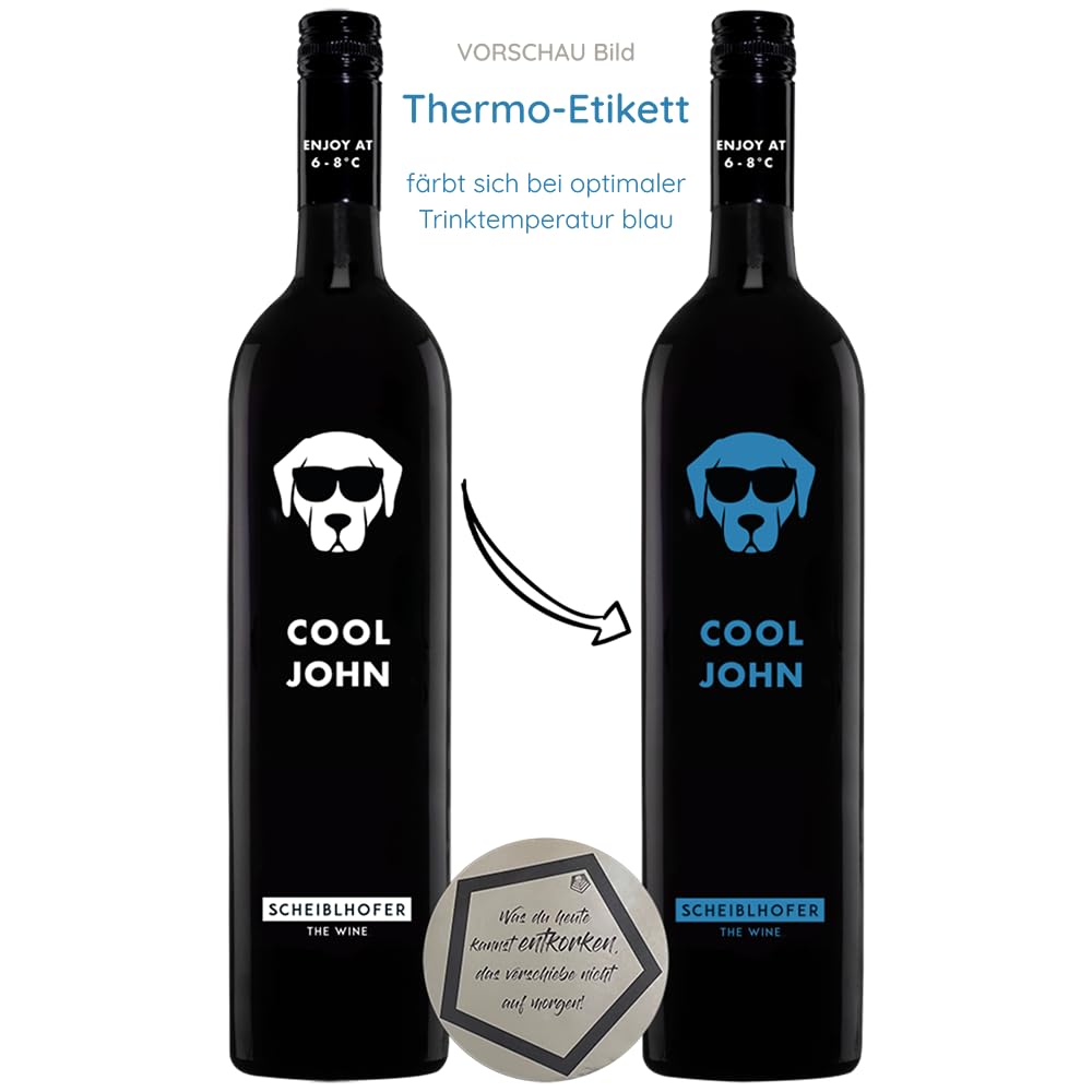6 Flaschen Scheiblhofer | Cool John 2025 Cuvée Rotwein 0.75 l inkl. LOVEVINO Silver Button Sticker