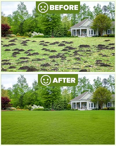 30x10 Inch Landscape Rake