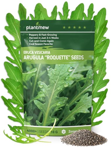 Arugula Seeds for Planting - Heirloom Roquette Seeds Fast-Growing Peppery Greens for Indoor/Outdoor Gardens Harvest in 3-4 Weeks Cut-and-Come-Again Salad Seeds