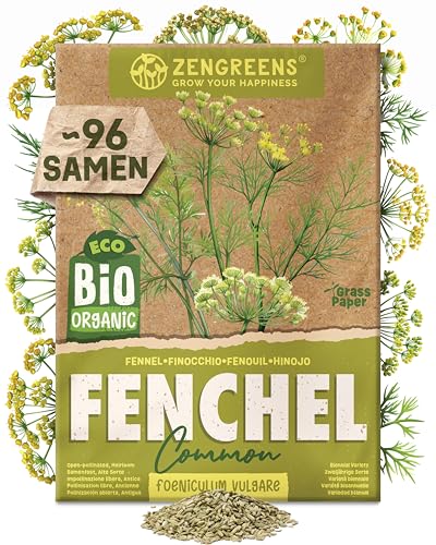 ZenGreens - Bio Fenchel Samen (Common) - Fenchelsamen - Kräutersamen für den einfachen Anbau im Garten Balkon oder Küche - Kräuter Saatgut ideal für Anfänger