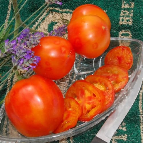 Plant World Seeds - Tomato Peppermint Seeds (Tomato Seeds)