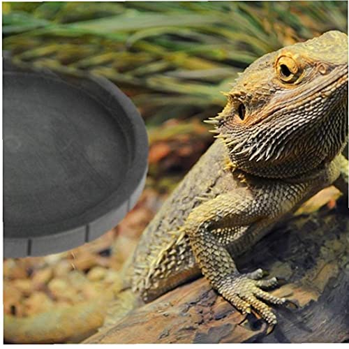 NIDONE Reptiel voeden Bowl,Terrarium schotel plaat Voeding Plaat Voedsel Water Schotel Bowl voor schildpad Hagedis… - Afbeelding 8