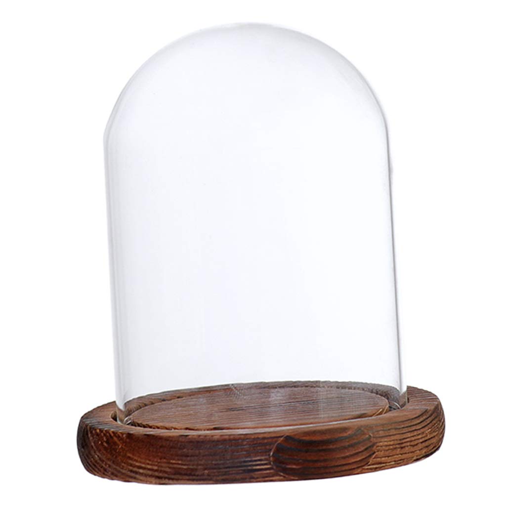 Fenteer Glashaube Glasglocke Glassturz mit Holzboden DIY Landschaften Fairy Garten Terrarium, Braun B