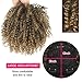 Matthia Brown Curly Hair Wiglets with Bangs for Thinning Hair, Synthetic Short Afro Kinky Curly Clip in Hair Pieces for Black Women (1B/27#)