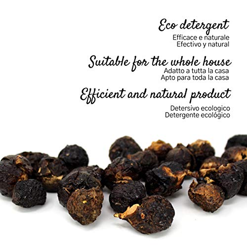 Noci del Sapone - Detersivo Naturale per Piatti