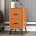 Szafki na dokumenty Szafka nocna Szafka nocna Sypialnia Drewniany stolik nocny z 2 szufladami do sypialni i salonu Stolik (kolor: 15)