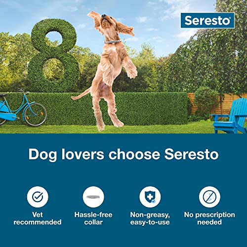 Seresto Large Dog Vet-Recommended Flea & Tick Treatment & Prevention Collar For Dogs Over 18 Lbs. | 8 Months #TOP2