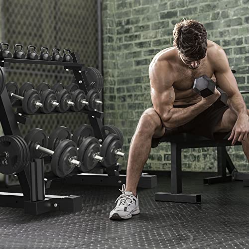Dumbbell Rack Fitness 3 Tier Dumbbell Weight Rack Heavy Duty Multifunctional Weight Stand for Home Gym Suitable for Storage of Dumbbell, Weight Plates, and Curl Bar