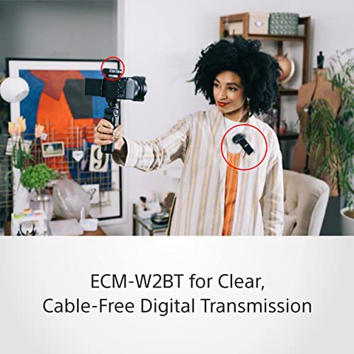 Image of Sony ZV-E10L Vlogging Kit with 16-50mm Power Zoom Lens, Wireless Microphone(ECM-W2BT), Lavalier Microphone(ECM-LV1), Bluetooth Grip(GP-VPT2BT), Battery Charger (BC-TRW), Rechargeable Battery(7)