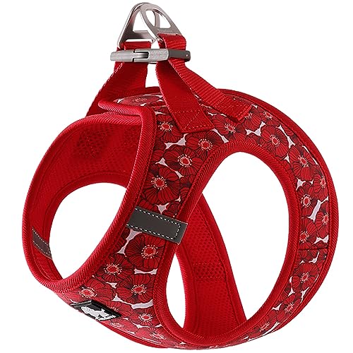 J&C Paradise  n[lX {KX y ʋC bV lC ȒP q L e TRUELOVE (L, fB[vbh)