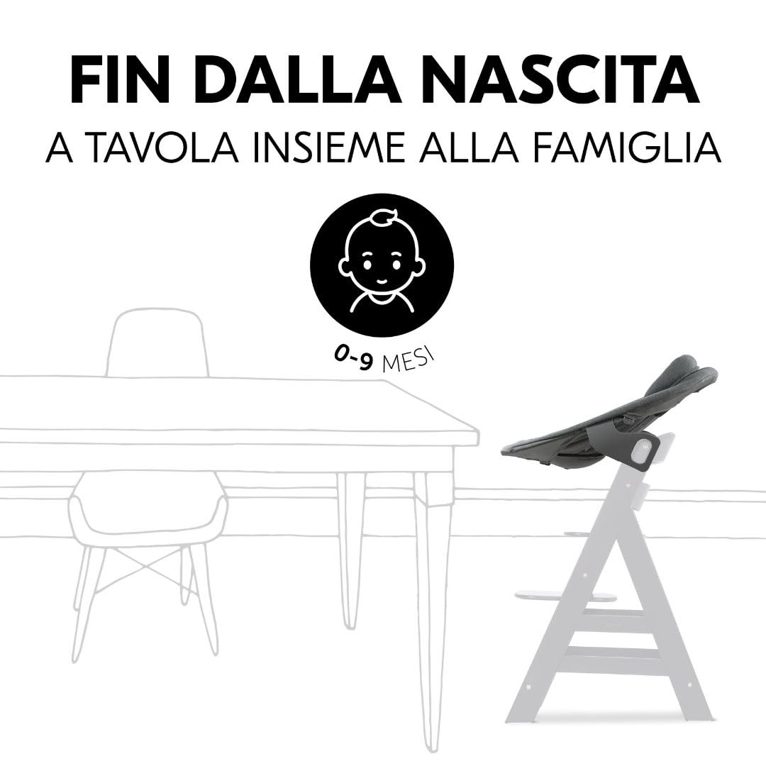 hauck Seggiolone Pappa Evolutivo Alpha Move Newborn Set - Sedia Bambini Da 0 Mesi con Nuova Sdraietta Neonati Premium, Cintura 5 Punti, Ruote, Vassoio e Cuscino - Naturale, Grigio