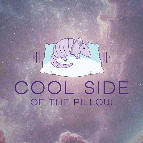 Cool Side of the Pillow cover art