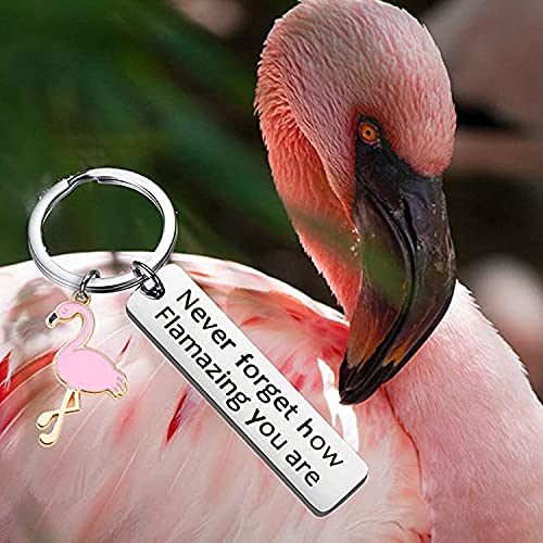 tenghong2021 Motivational Flamingo Keychain Never Forget How Flamazing You are Keychain Gift for Women Girls3
