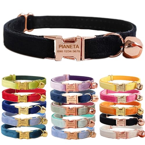 PIANETA L O聕dbԍ qDt t qL^ɓKpC DEID^O (L (20-32cm),ubN+[YS[h)