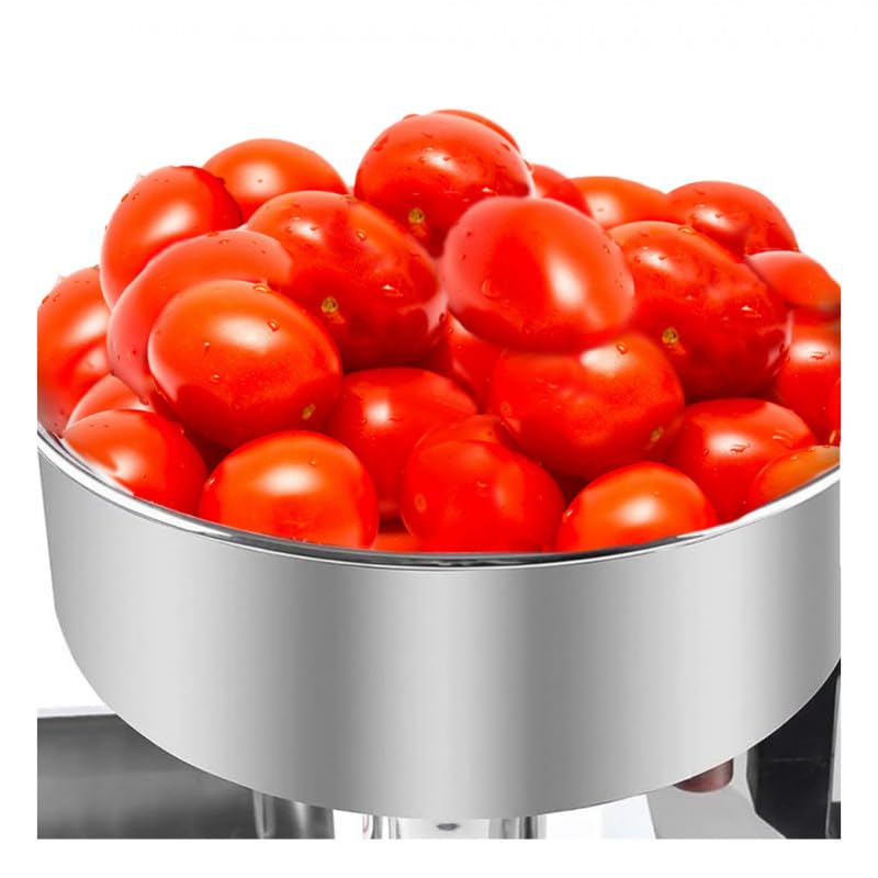 Presse Tomates Électrique Inox 450W - Extracteur de Jus Fruits & Légumes Tendres - Professionnel