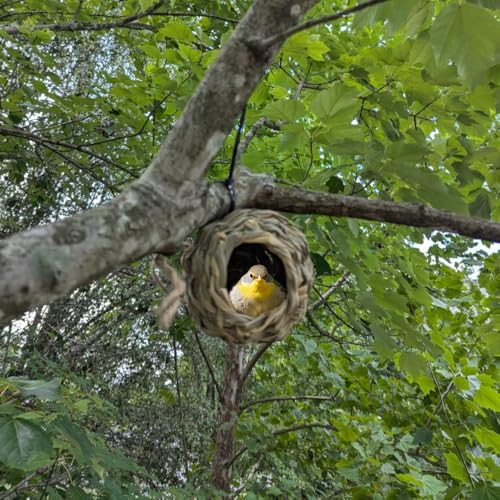 DoubleWood Casas De Beija-Flor Para Exterior, Pacote Com 4 Ninhos Suspensos, Cabana De Pássaros De G