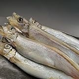 子持ちからふとししゃも【約1kg】 冷凍 メス からふとししゃも ししゃも 約1kg プチプチ卵たっぷり 焼くだけ簡単 魚 お弁当 おかず おつまみ