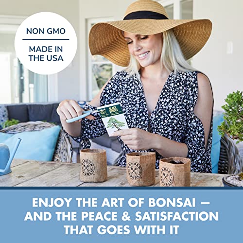 image for · GARDEN REPUBLIC · Bonsai Tree Kit - Grow 3 Mini Bonsai Trees, Indo