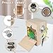 GINDOOR Parakeet Nesting Box Transparent Design, Natural Wood Bird Nest Breeding Box with Perch, Acrylic Bird House for Cage Bird Nesting Box for Small Cockatiel Lovebirds Finch Parrot Canary S