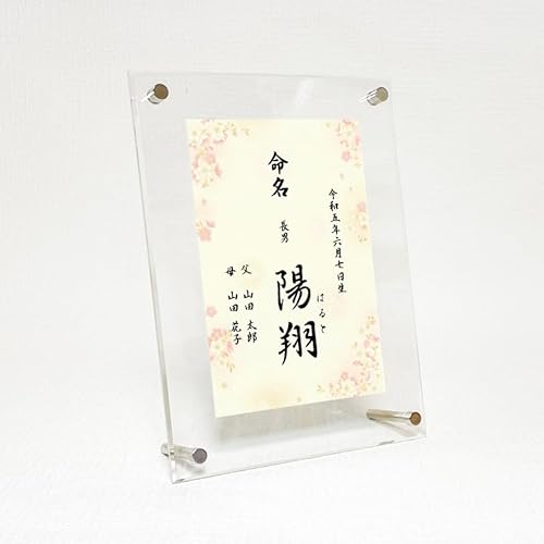 yaLOz͂TCYis B-2j/t[t 畿 j̎q Ƃ̑ccɂ N  OEӂ肪  