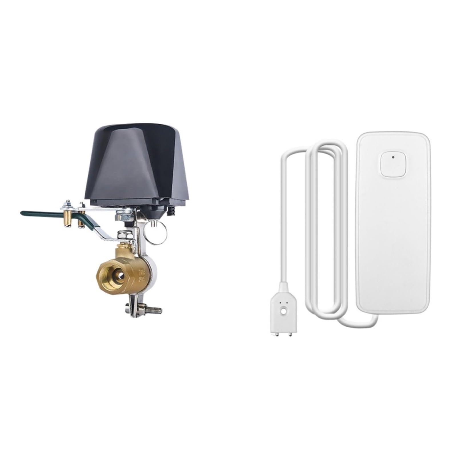 Minuterie d'irrigation DELURA haut de gamme et alarme de fuite d'eau WiFi intelligente