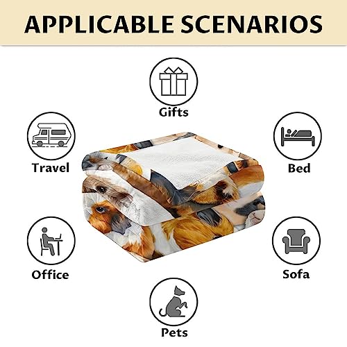 Guinea Pig Blanket Gifts - 50x60 Inches Cute Throw for Girls & Boys - Brown Soft Fuzzy Blankets for Bed, Couch & Living Room