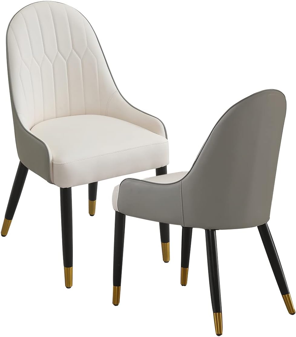 Runboll Dining Chairs Set of 2 Modern Mid-Century Dinner Chairs for Kitchen, Dining, Bedroom, Living Room
