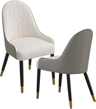Runboll Dining Chairs Set of 2 Modern Mid-Century Dinner Chairs for Kitchen, Dining, Bedroom, Living Room