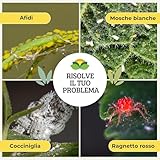 Albagarden B08BTSJYH6 lato 4