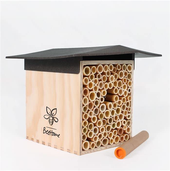 BeeHome dunkel - Wildbienenhotel mit Gutschein für 25 Bienen!