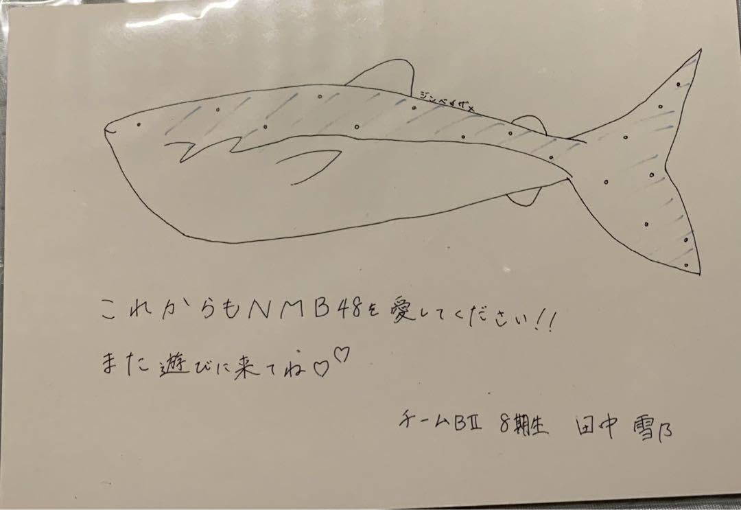 nmb48 田中雪乃　レア　直筆　ポストカード nmb48 田中雪乃 レア 直筆 ポストカード - アイドル