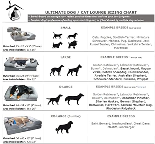 PetFusion Kleines Hundebett mit solidem 6,3 cm dickem Memory-Schaum