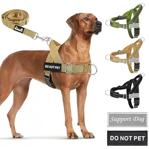 SlowTon No Pull Dog Harness - Heavy Duty Dog Harness and Leash Set for Medium Large Dogs, Reflective Tactical Dog Harness with Soft Padded and Front Clip for Easy Walk and Training(Yellow XL) Cover
