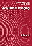 Acoustical Imaging