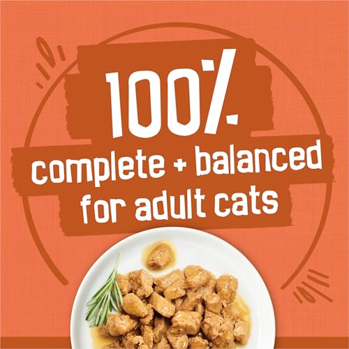 Purina Friskies Wet Cat Food Gravy Variety Pack, TurChicken Extra Gravy Chunky, Meaty Bits and Prime Filets - (Pack of 40) 5.5 oz. Cans